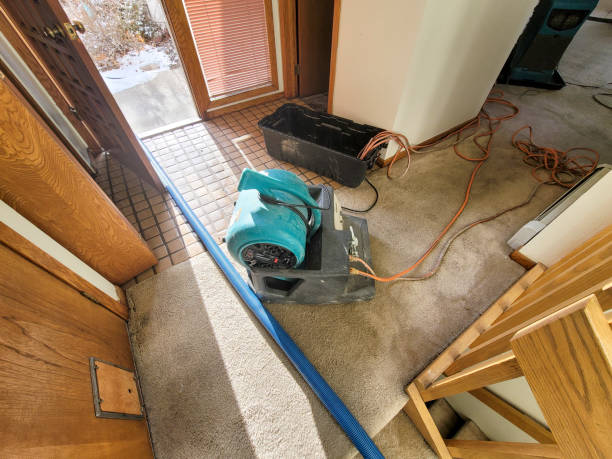 Best Emergency water damage restoration  in Adelanto, CA