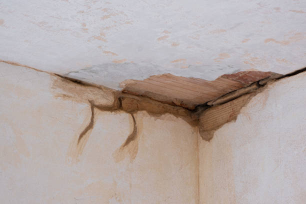 Trusted Adelanto, CA Water damage restoration Experts