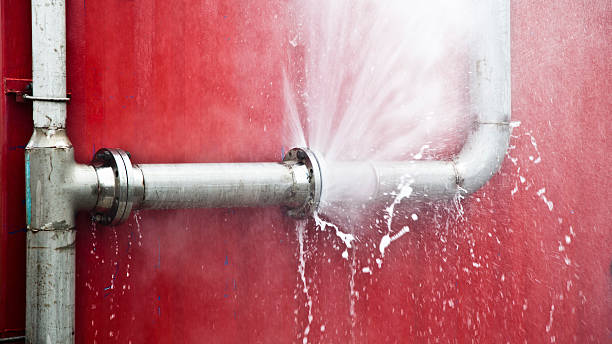 Best Water damage restoration near me  in Adelanto, CA