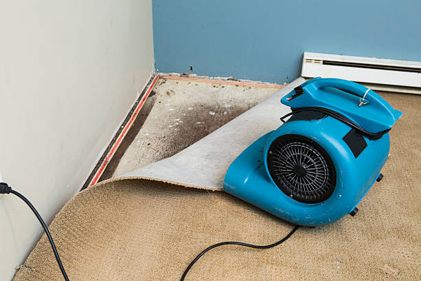 Water damage restoration process in Adelanto, CA